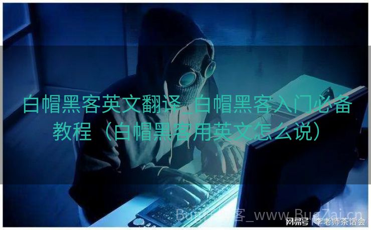 白帽黑客英文翻译_白帽黑客入门必备教程（白帽黑客用英文怎么说）
