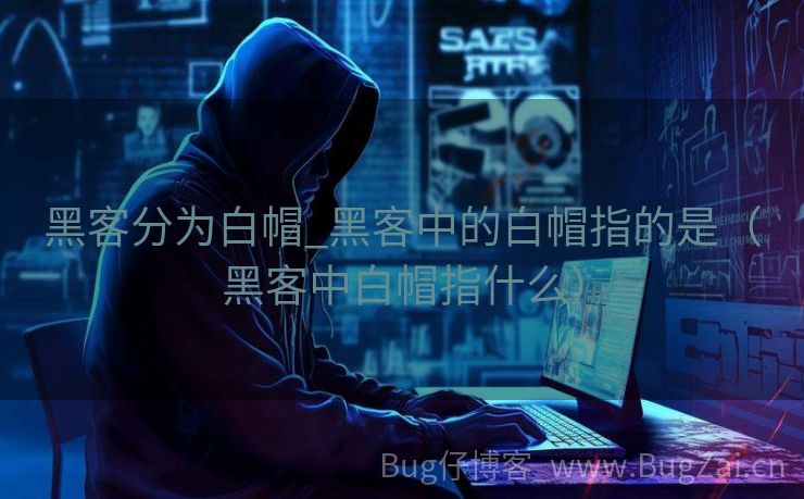 黑客分为白帽_黑客中的白帽指的是（黑客中白帽指什么）