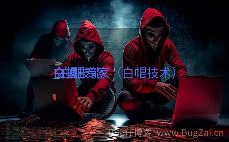 白帽技能
交换
_白帽专家（白帽技术）