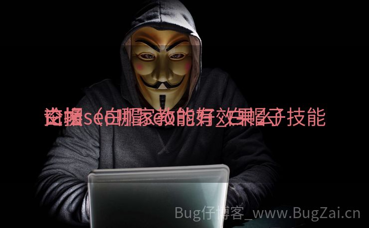 白帽seo哪家教的好_白帽子技能
交换
论坛（白帽seo能有效果么）