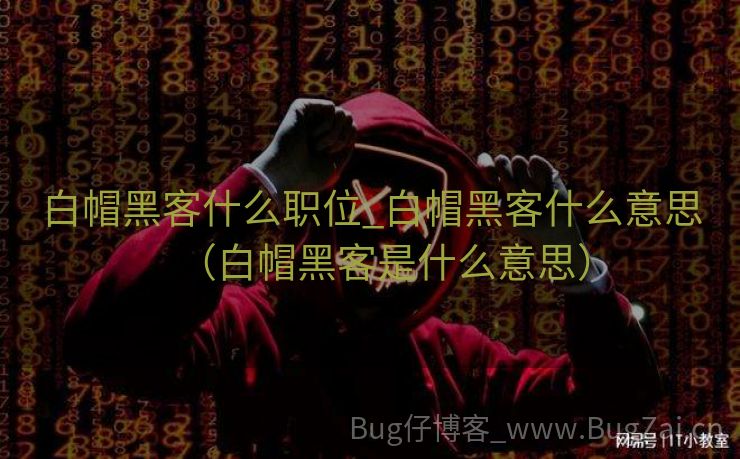 白帽黑客什么职位_白帽黑客什么意思（白帽黑客是什么意思）