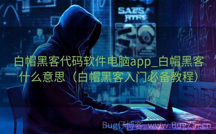 白帽黑客代码软件电脑app_白帽黑客什么意思（白帽黑客入门必备教程）