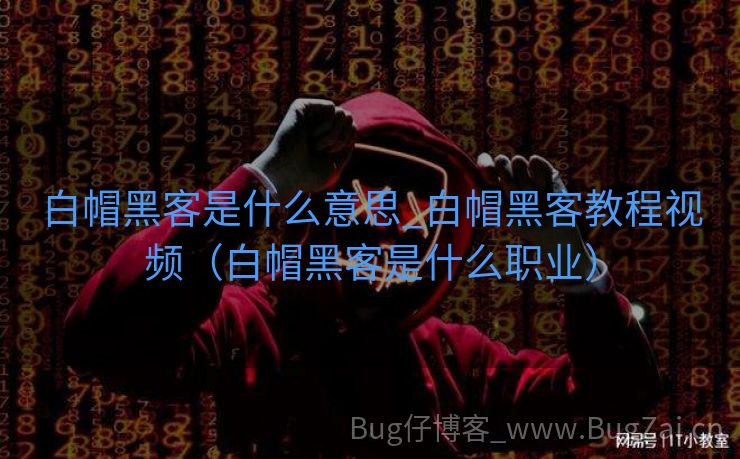 白帽黑客是什么意思_白帽黑客教程视频（白帽黑客是什么职业）