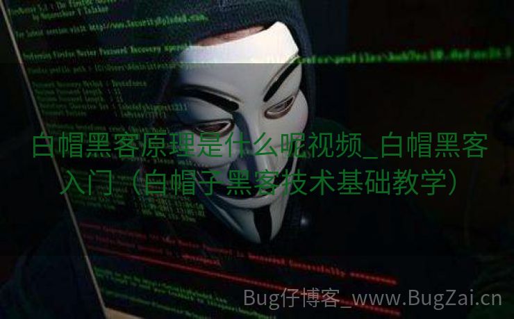 白帽黑客原理是什么呢视频_白帽黑客入门（白帽子黑客技术基础教学）