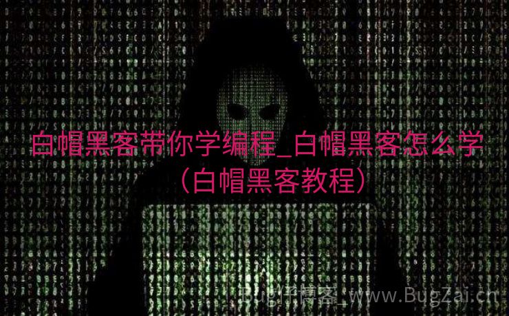 白帽黑客带你学编程_白帽黑客怎么学（白帽黑客教程）
