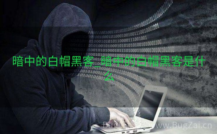暗中的白帽黑客_暗中的白帽黑客是什么