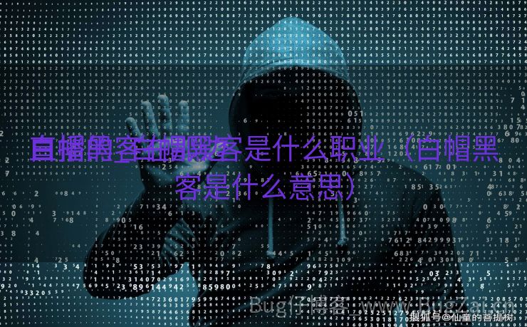 白帽黑客在那边

直播的_白帽黑客是什么职业（白帽黑客是什么意思）