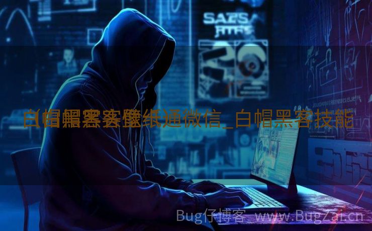 白帽黑客头像卡通微信_白帽黑客技能
（白帽黑客壁纸）
