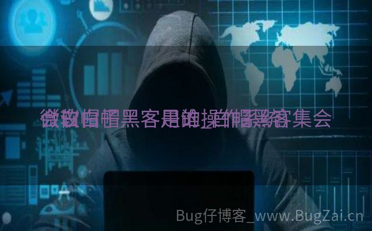 微软白帽黑客是谁_白帽黑客集会
会议

（白帽子黑客用的操作系统）