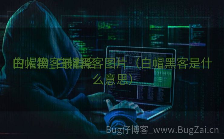 白帽黑客最着名
的人物_白帽黑客图片（白帽黑客是什么意思）