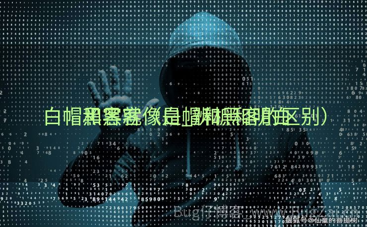 白帽黑客就像是_辨析和明白


白帽和黑客（白帽和黑客的区别）