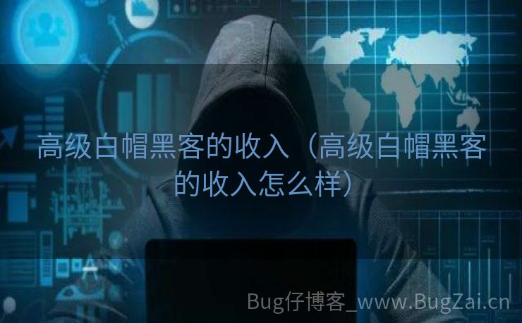 高级白帽黑客的收入（高级白帽黑客的收入怎么样）