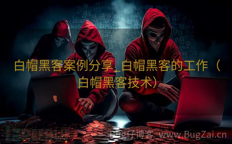 白帽黑客案例分享_白帽黑客的工作（白帽黑客技术）