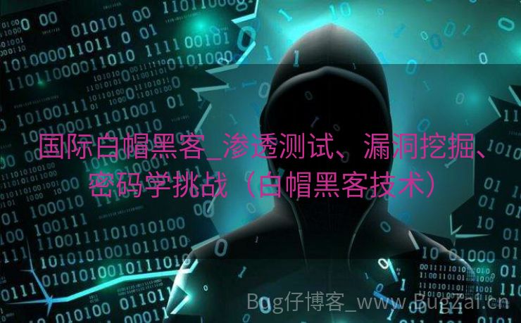国际白帽黑客_渗透测试、漏洞挖掘、密码学挑战（白帽黑客技术）