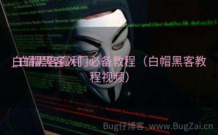 白帽黑客赢利
_白帽黑客入门必备教程（白帽黑客教程视频）