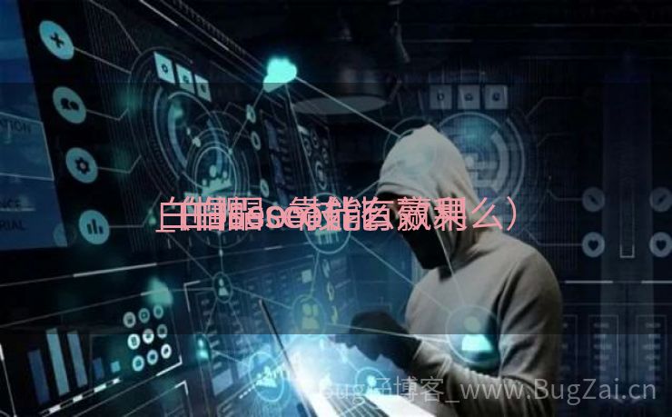 白帽seo靠什么赢利
_白帽seo技能
（白帽seo能有效果么）