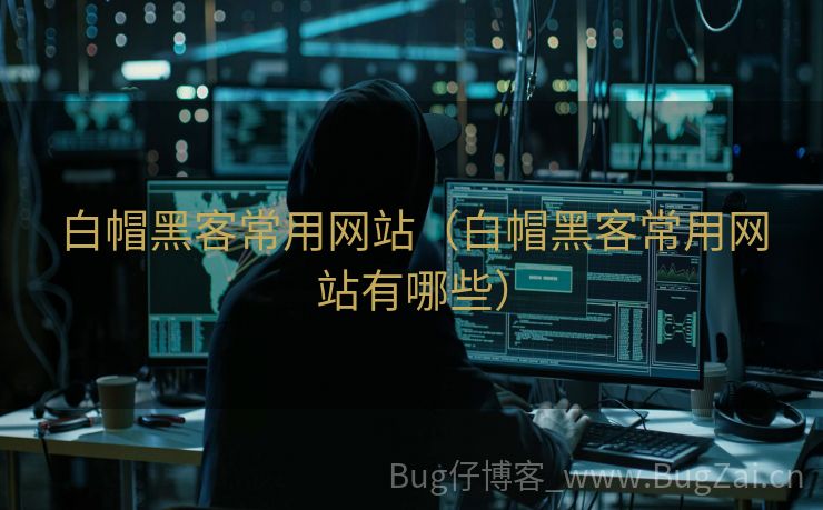白帽黑客常用网站（白帽黑客常用网站有哪些）