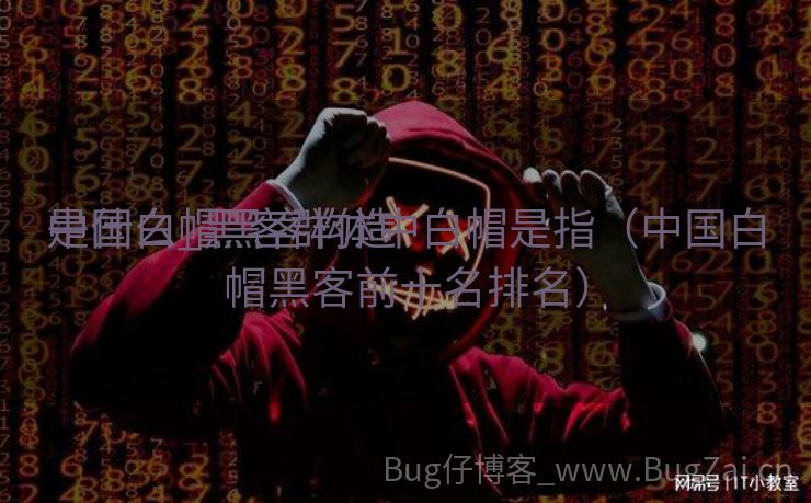 中国白帽黑客构造
是什么_黑客群体中白帽是指（中国白帽黑客前十名排名）
