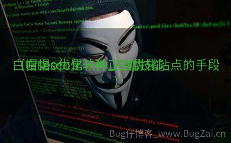 白帽seo优化软件_白帽技能
（白帽seo是一种正当优化站点的手段）