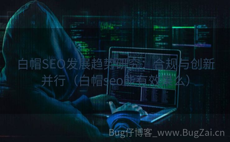 白帽SEO发展趋势研究：合规与创新并行（白帽seo能有效果么）