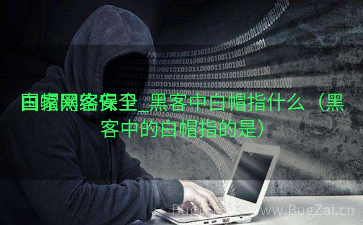 白帽黑客保卫
国家网络安全_黑客中白帽指什么（黑客中的白帽指的是）